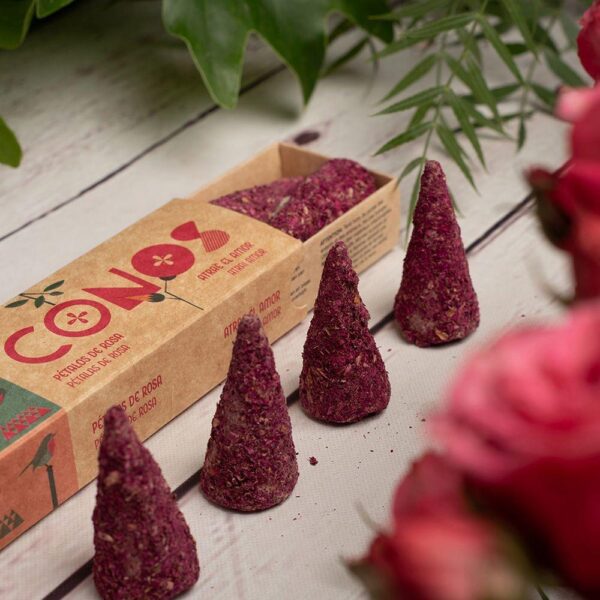 Encens naturels premium (bois sacré, cannelle, ambre)